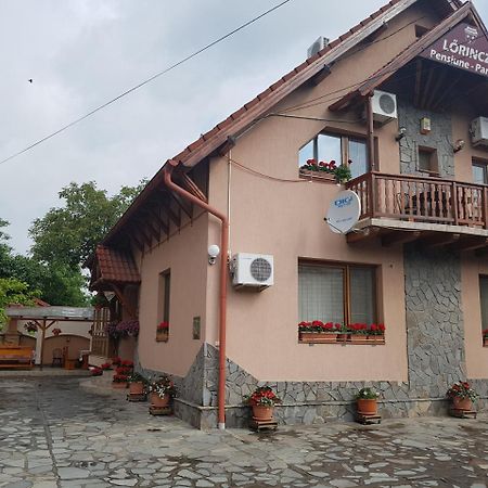 Pensiunea Lorincz *** Panzio Sovata Bagian luar foto