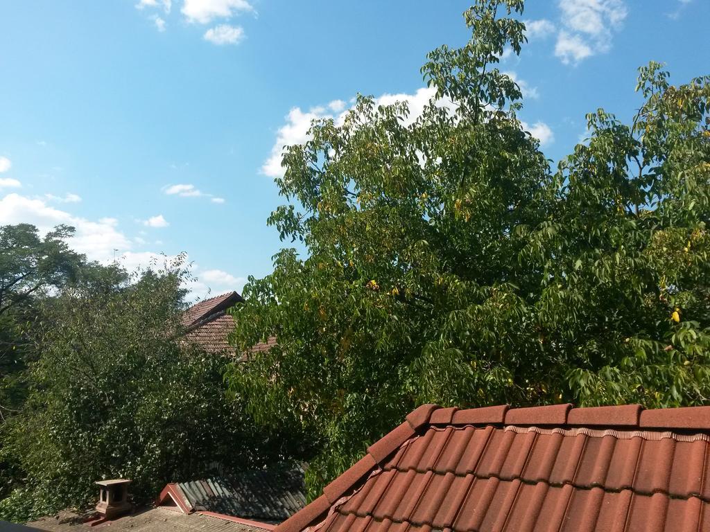 Pensiunea Lorincz *** Panzio Sovata Bagian luar foto