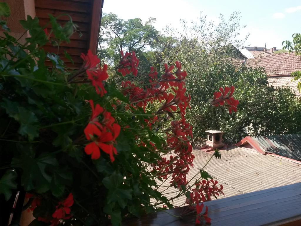 Pensiunea Lorincz *** Panzio Sovata Bagian luar foto