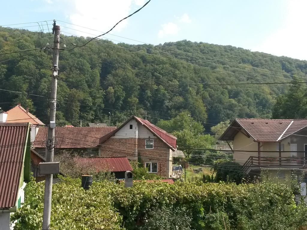 Pensiunea Lorincz *** Panzio Sovata Bagian luar foto