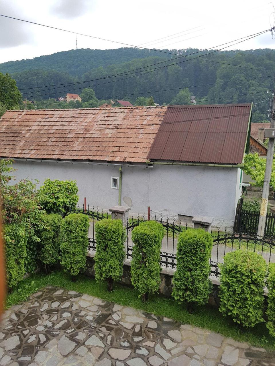Pensiunea Lorincz *** Panzio Sovata Bagian luar foto
